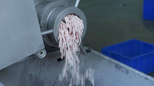 160冻肉绞肉机适用于大型的食品加工厂